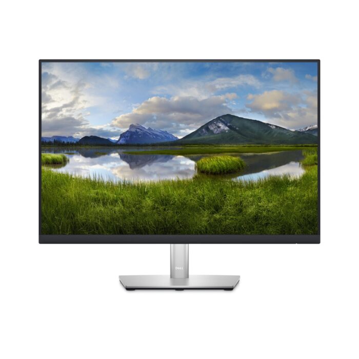 DELL P Series 24 Monitor (DELL-P2423)