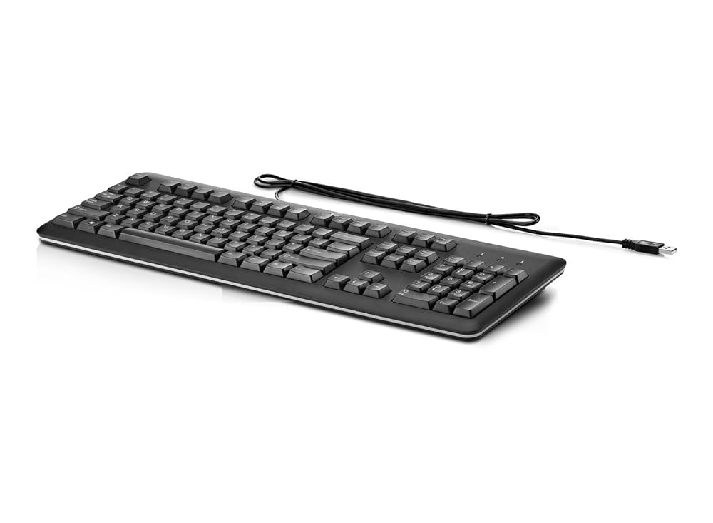 610A4gS6m8L._UF1000,1000_QL80_ HP QY776A#ABU Keyboard English Basis - Image 1