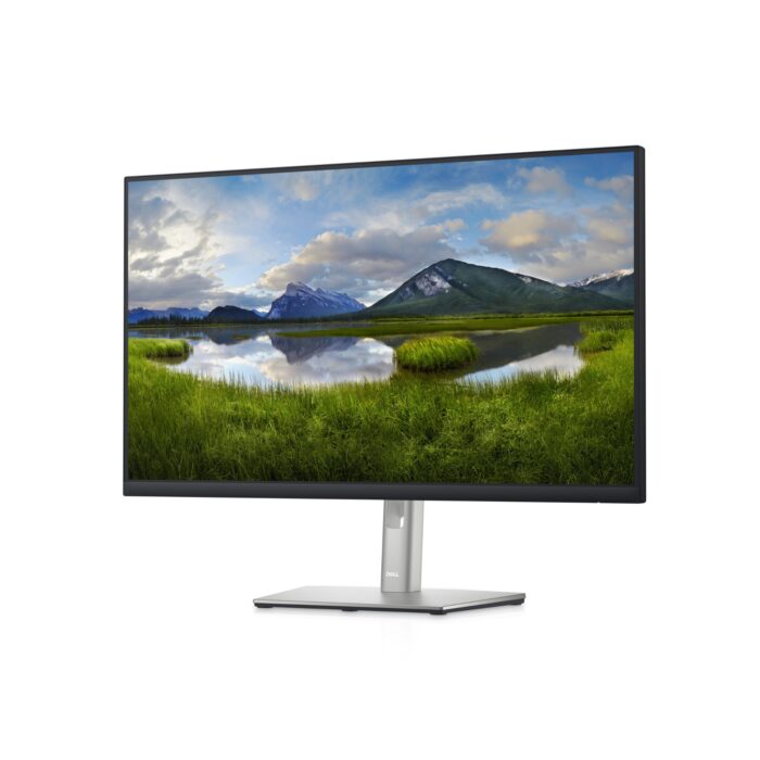 DELL 27 Monitor (P2722H)