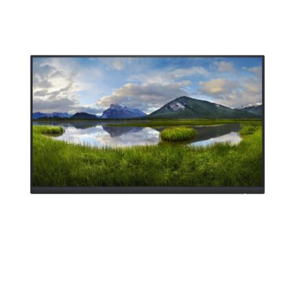 DELL P Series P2422H_WOST LED display 60.5 cm (23.8") 1920 x 1080 pixels Full HD LCD Black (DELL-P2422HWOS)