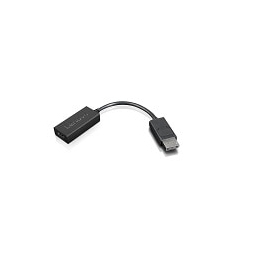 Lenovo 4X90R61023 video cable adapter 0.225 m DisplayPort HDMI Type A (Standard) Black (4X90R61023)