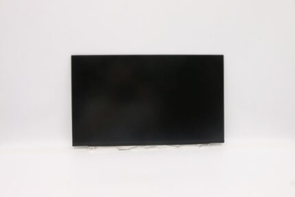 Lenovo DISPLAY INX 15.6 FHD IPS AG (5D10V82391)