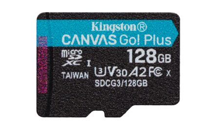 Kingston 128GB microSDXC Canvas Go Plus 170R A2 U3 V30 Single Pack w/o ADP (SDCG3/128GBSP)