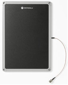 Zebra AN620-SCL71130EU network antenna N-type 4 dBi (AN620-SCL71130EU)