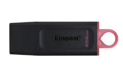 Kingston DataTraveler Exodia - USB 3.2 Flash Drive (DTX/256GB)