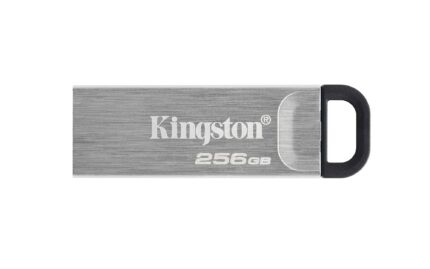 Kingston DataTraveler 256GB Kyson USB Flash Drive (DTKN/256GB)