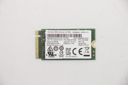 Lenovo 5SS0W76183 internal solid state drive M.2 256 GB PCI Express 3.0 NVMe (5SS0W76183)