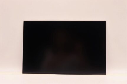 Lenovo DISPLAY AUO 14.0 WUXGA AG (5D10V82364)