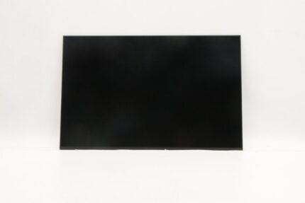 Lenovo DISPLAY AUO 16.0 WUXGA IPS AG (5D10V82403)