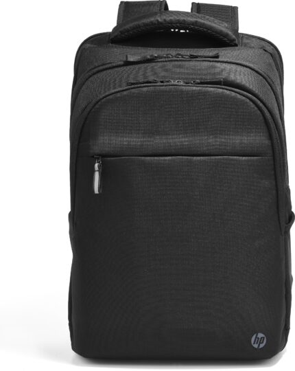 HP Professional 17.3-inch Backpack (500S6AA)