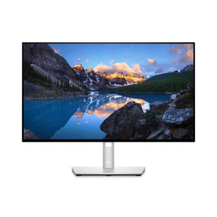 DELL UltraSharp 24 Monitor ?? U2422H (DELL-U2422H)