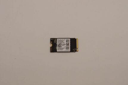 Lenovo SSD_ASM 256G,M.2,2242,PCIe3x4,SAM,STD (5SS0W79528)