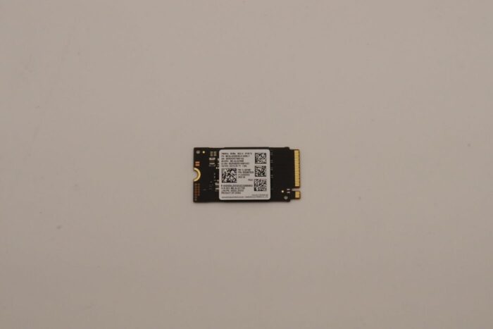 Lenovo SSD_ASM 256G,M.2,2242,PCIe3x4,SAM,STD (5SS0W79528)