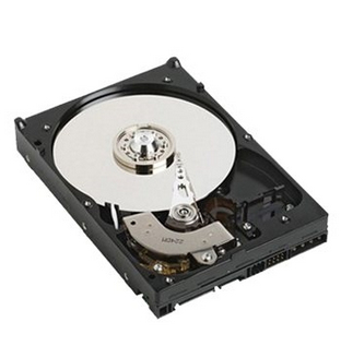 DELL DGNTV internal hard drive 3.5" 1 TB SAS (DGNTV)