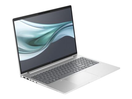 HP EliteBook 660 G11 Intel Core Ultra 5 125U Laptop 40.6 cm (16") WUXGA 8 GB DDR5-SDRAM 512 GB SSD Wi-Fi 6E (802.11ax) Windows 11 Pro Silver(A23FDEA#ABU)