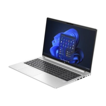 HP ProBook 455 G10 Notebook(AK9N4AT#ABU)